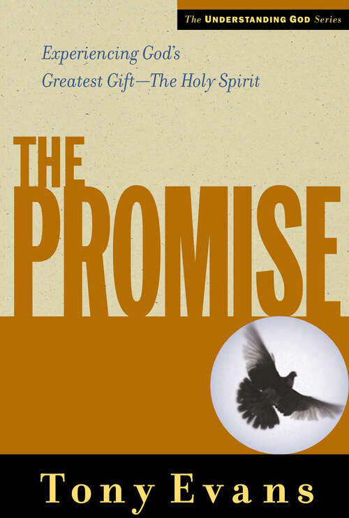 Book cover of The Promise (New Edition)