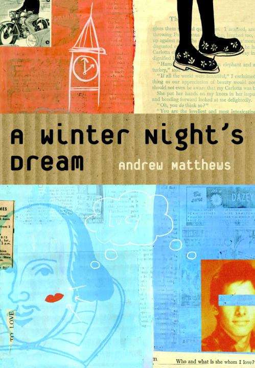 Book cover of A Winter Night's Dream