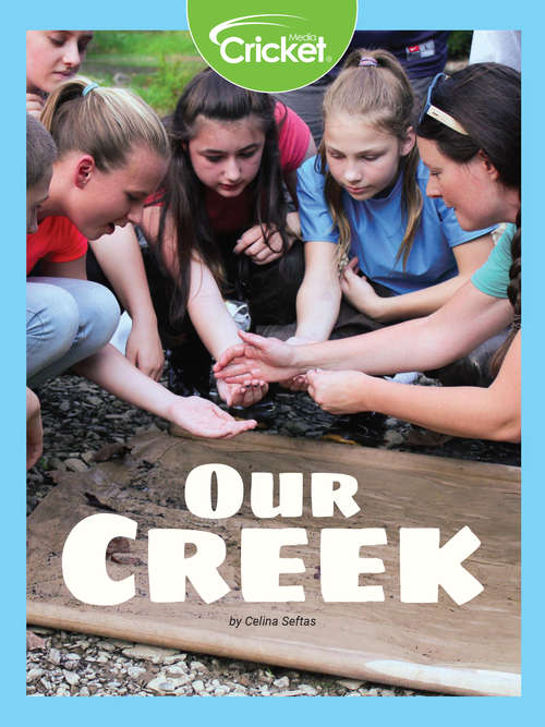 Book cover of Our Creek