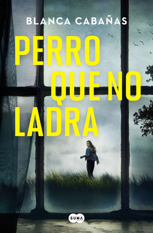 Book cover of Perro que no ladra
