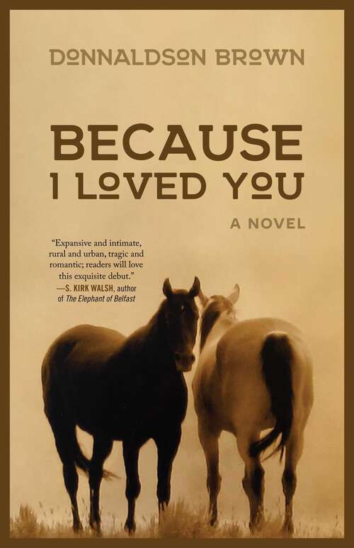 Book cover of Because I Loved You: A Novel