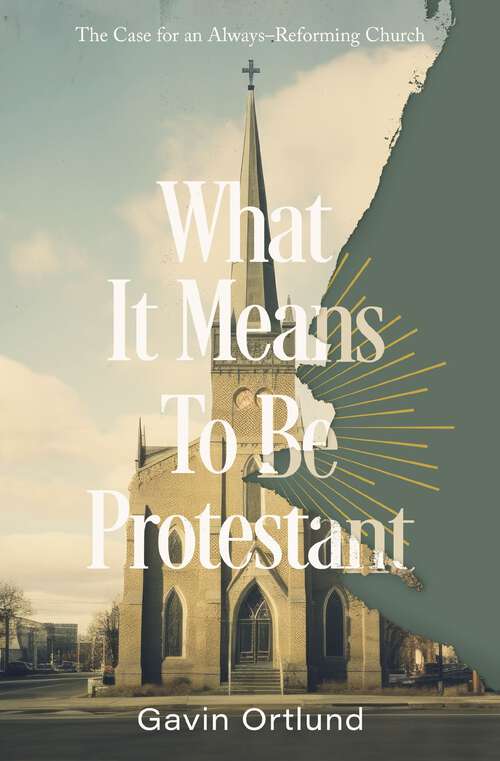 Book cover of What It Means to Be Protestant: The Case for an Always-Reforming Church