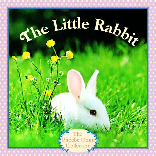 Book cover of The Little Rabbit (Pictureback(R))