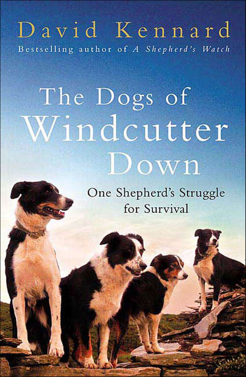 Book cover of The Dogs of Windcutter Down: One Shepherd's Struggle for Survival