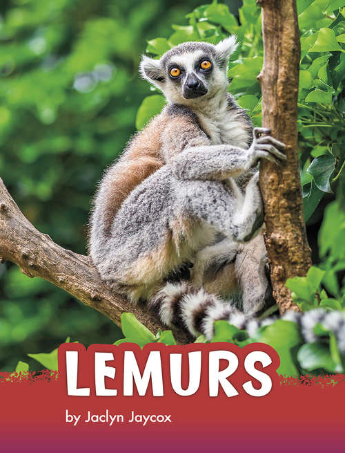 Book cover of Lemurs (Animals)