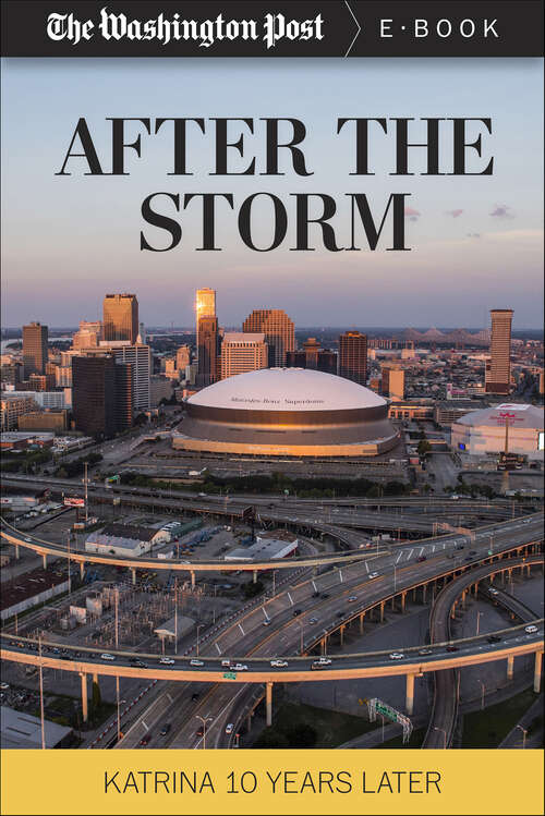 Book cover of After the Storm: Katrina 10 Years Later