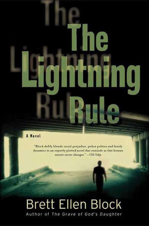 Book cover of The Lightning Rule: A Novel