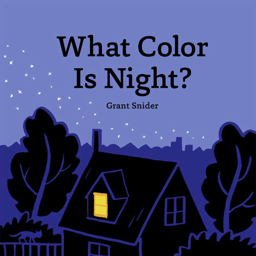 Book cover of What Color Is Night?