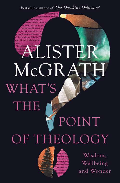 Book cover of What's the Point of Theology?: Wisdom, Wellbeing and Wonder