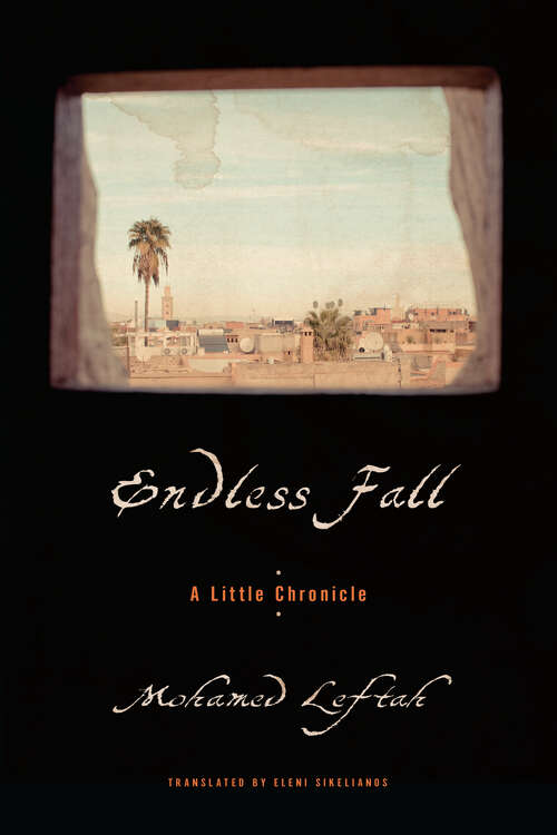 Book cover of Endless Fall: A Little Chronicle