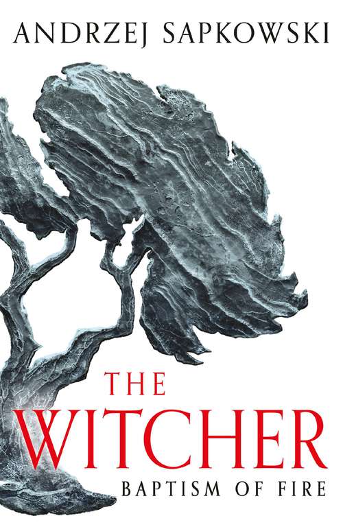 Book cover of Baptism of Fire: Witcher 3 – Now a major Netflix show (The Witcher #5)