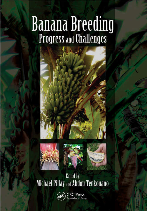 Book cover of Banana Breeding: Progress and Challenges