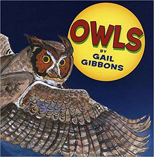 Book cover of Owls