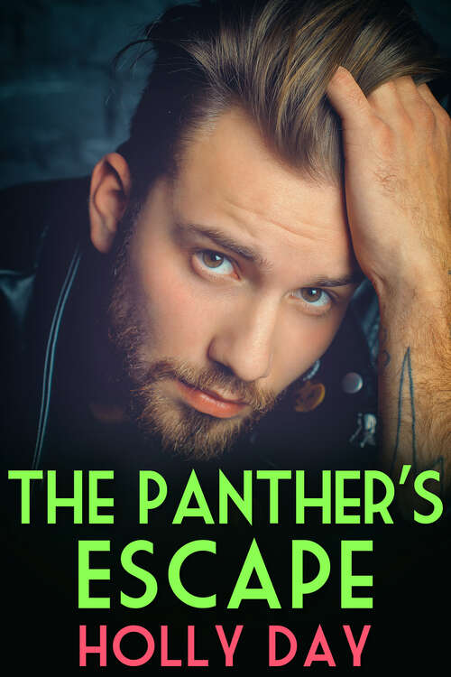 Book cover of The Panther's Escape