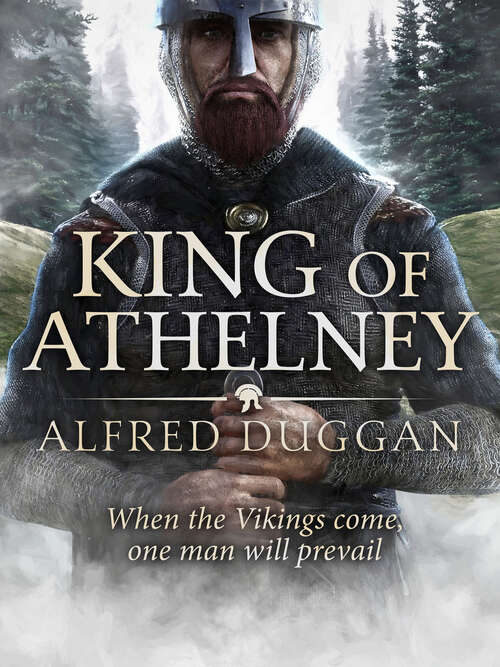 Book cover of The King of Athelney