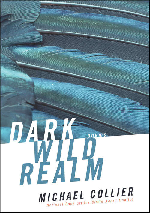 Book cover of Dark Wild Realm