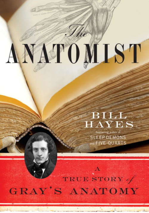 Book cover of The Anatomist