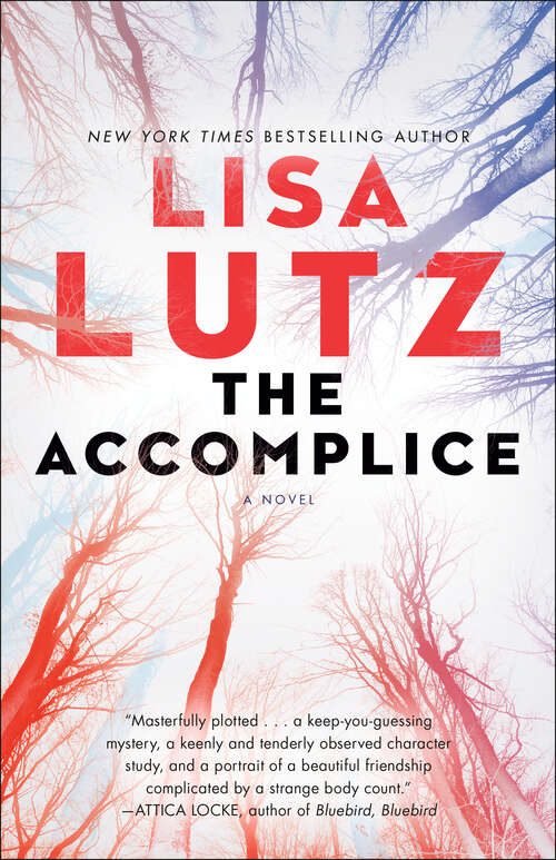 Book cover of The Accomplice: A Novel