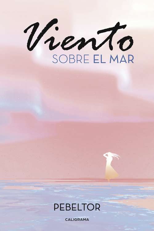 Book cover of Viento sobre el mar