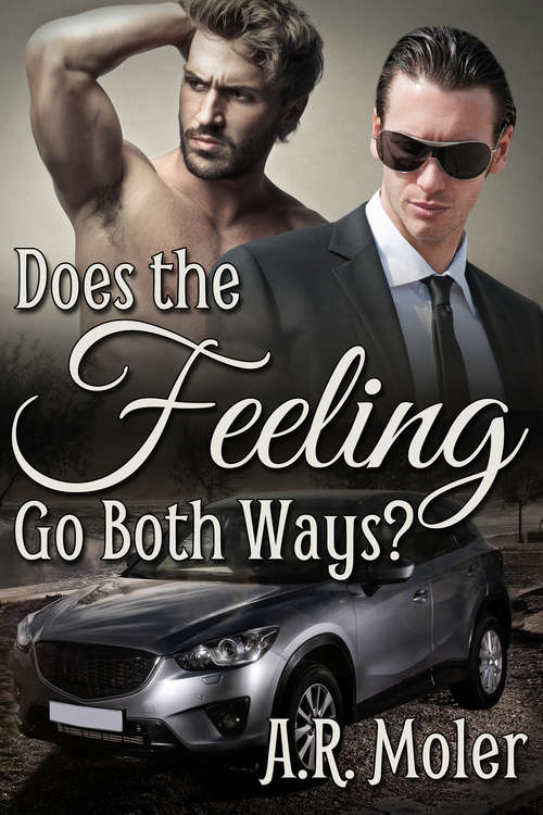 Book cover of Does the Feeling Go Both Ways? (Cameron Andrews Mysteries)
