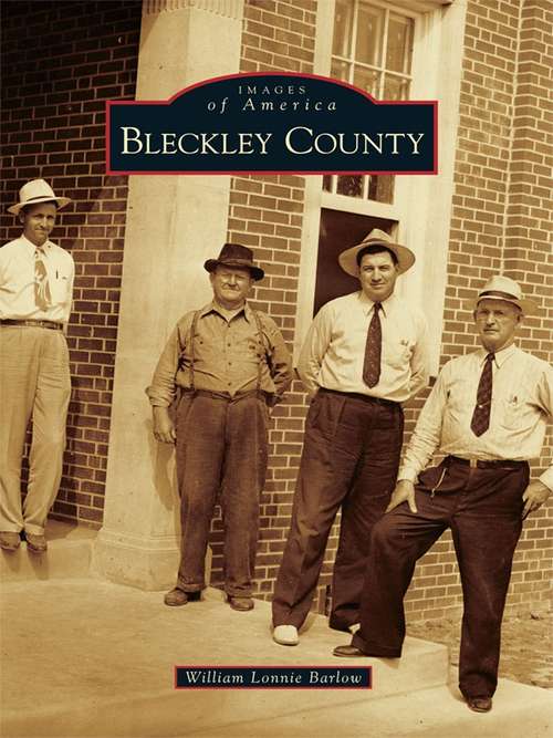 Book cover of Bleckley County
