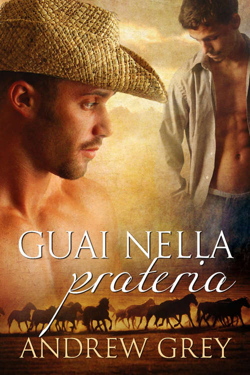 Book cover of Guai nella prateria (Storie della prateria #2)