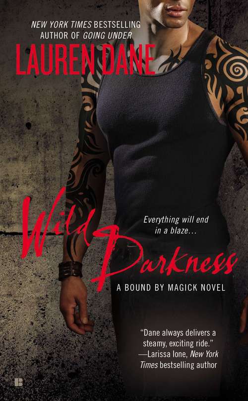 Book cover of Wild Darkness