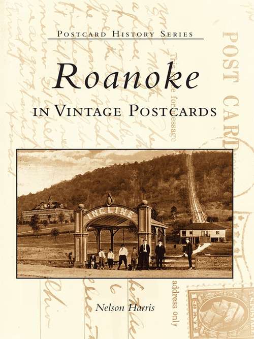 Book cover of Roanoke in Vintage Postcards (Postcard History)