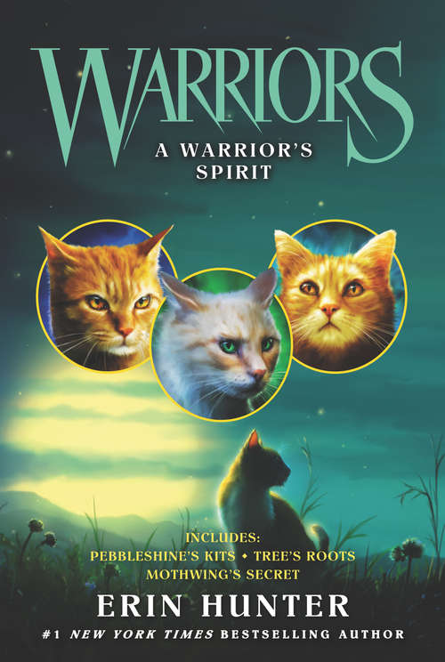 Book cover of A Warrior's Spirit (Warriors Novella)