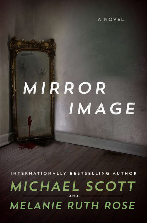 Book cover of Mirror Image: A Novel