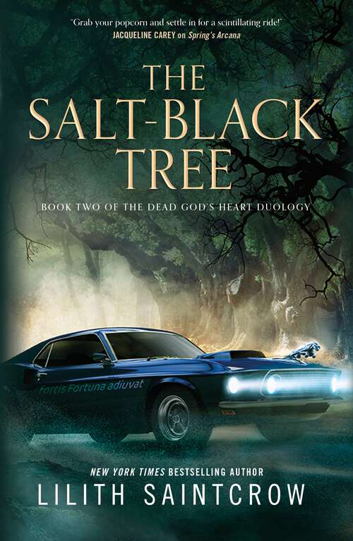 Book cover of The Salt-Black Tree: Book Two of the Dead God's Heart Duology (The Dead God's Heart #2)