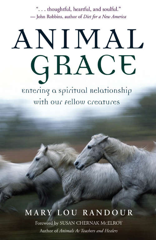 Book cover of Animal Grace