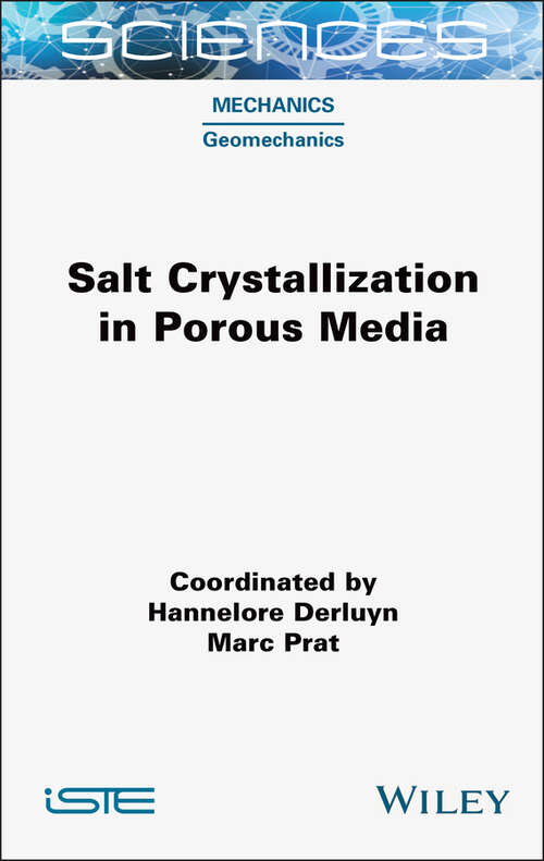 Book cover of Salt Crystallization in Porous Media (ISTE Consignment)