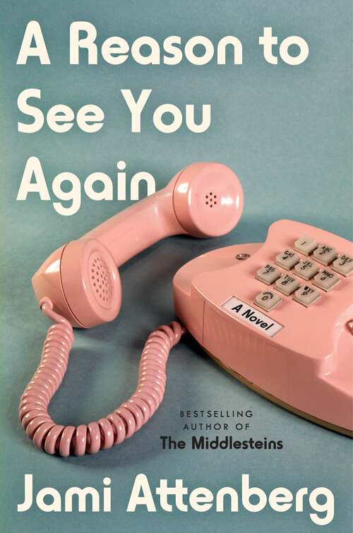 Book cover of A Reason to See You Again: A Novel