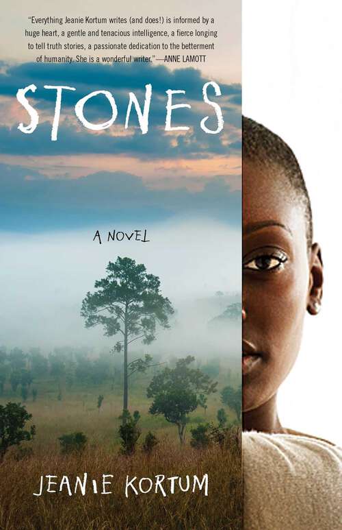 Book cover of Stones: A Novel