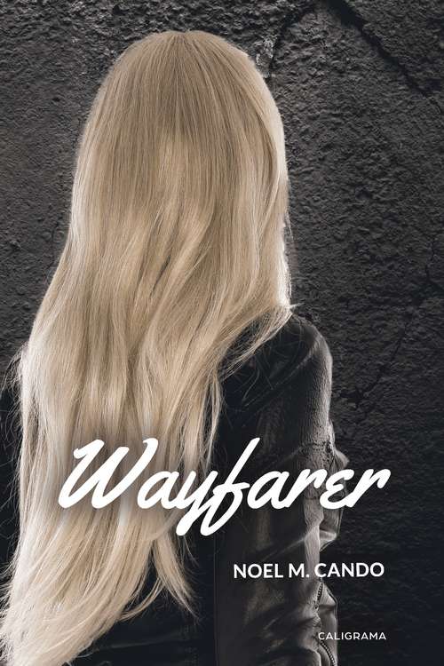 Book cover of Wayfarer