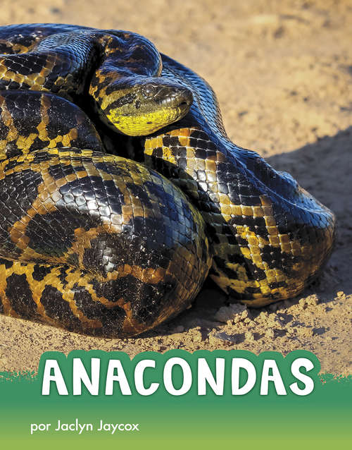 Book cover of Anacondas (Animals en espanol)