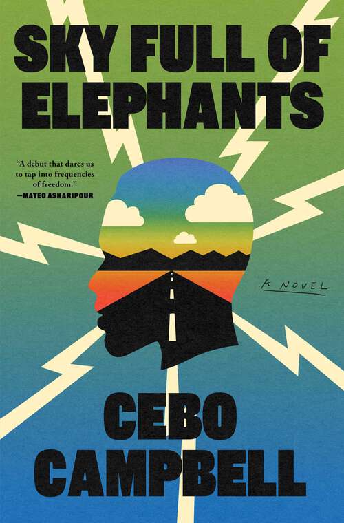 Book cover of Sky Full of Elephants: A Novel