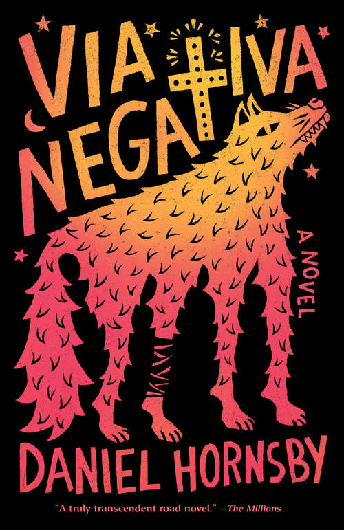 Book cover of Via Negativa: A novel