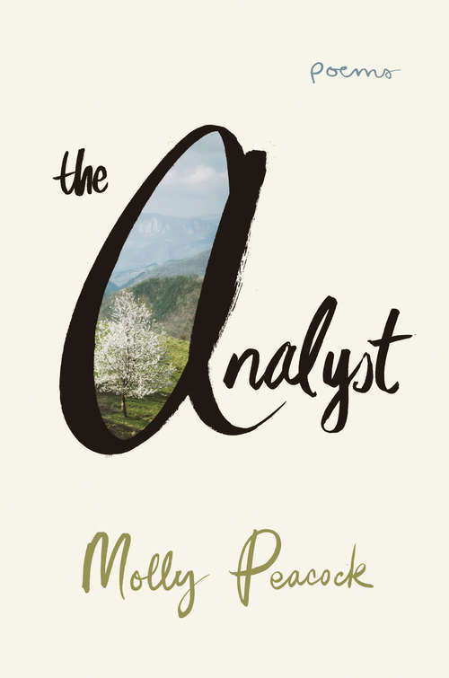 Book cover of The Analyst: Poems