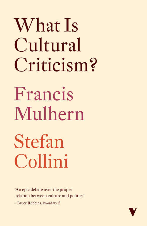 Book cover of What Is Cultural Criticism?