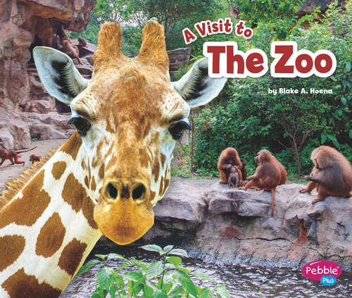 Book cover of The Zoo: A 4d Book (A\visit To... Ser.)