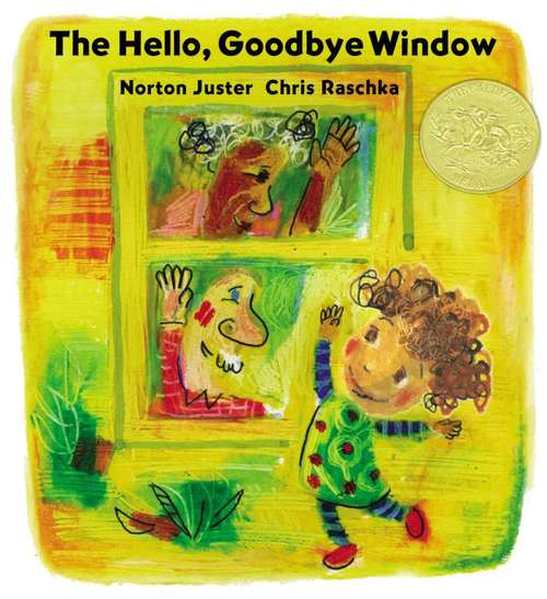 Book cover of The Hello, Goodbye Window