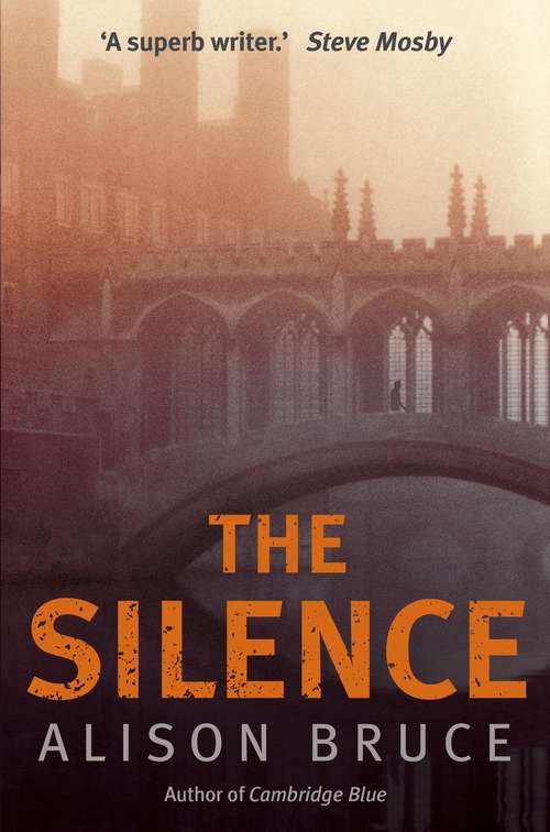 Book cover of The Silence