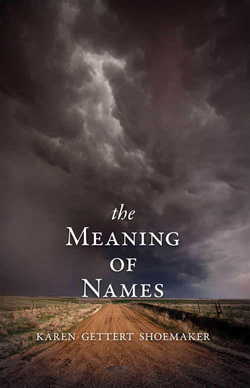 Book cover of The Meaning of Names