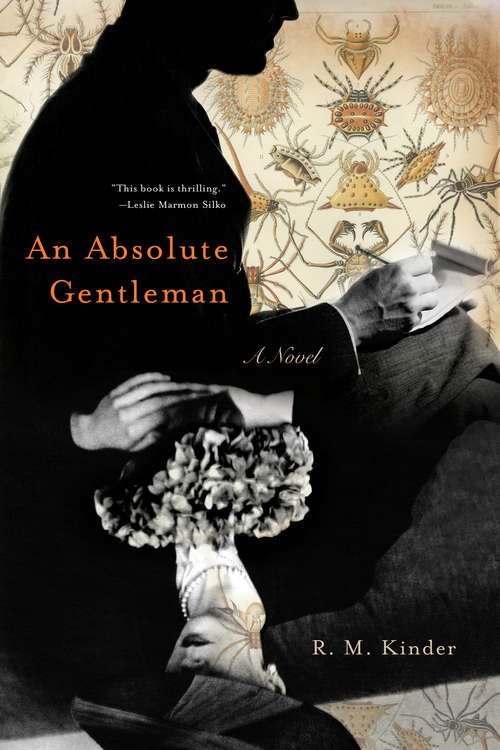 Book cover of An Absolute Gentleman: A Novel