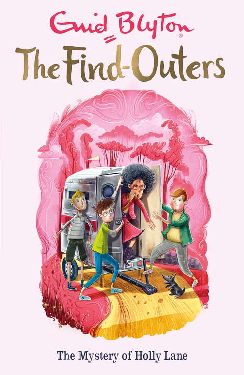 Book cover of The Mystery of Holly Lane: Book 11 (The Find-Outers #11)