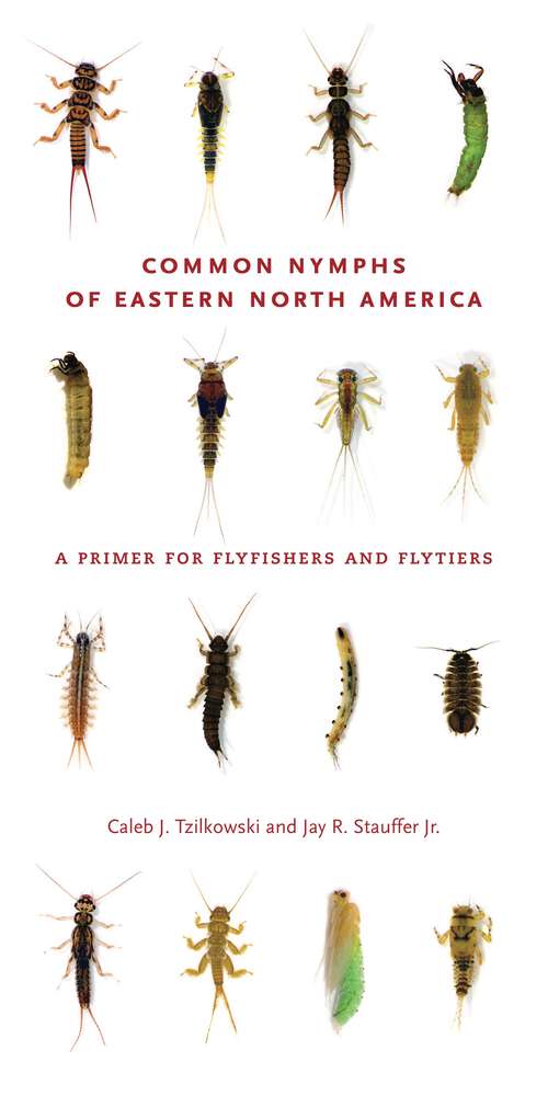 Book cover of Common Nymphs of Eastern North America: A Primer for Flyfishers and Flytiers (Keystone Books)