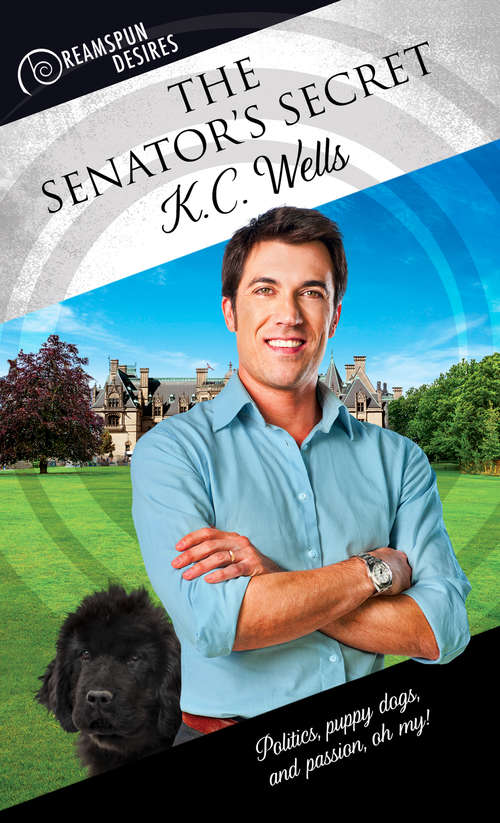 Book cover of The Senator's Secret (Dreamspun Desires #17)