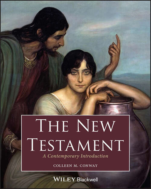 Book cover of The New Testament: A Contemporary Introduction